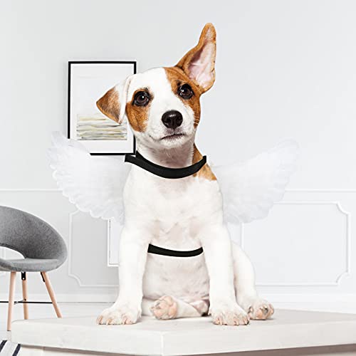 Gindoor Pet Halloween Angel Costume - White Angel Feather Wings Halloween Cosplay Dress Up Accessories Puppy Cat Costume For Party Decoration #TOP6