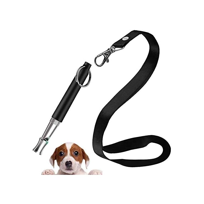 Are Dog Whistles Effective