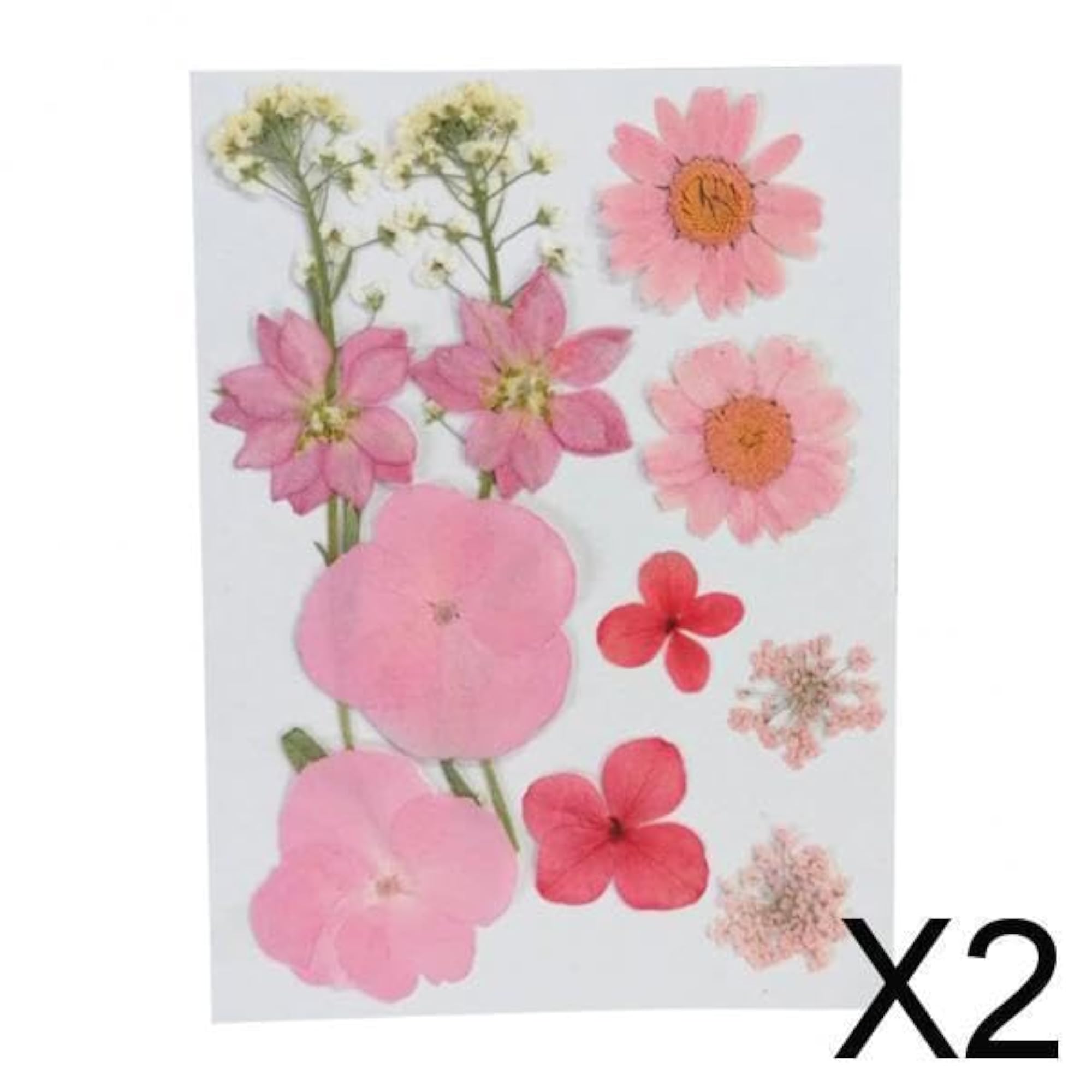 2xReal Dried Flowers Pressed Leaves Pink Swallows