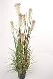 artplants.de Set de 2 x Junco Artificial EYOTA, 7 panículas, Verde-marrón, 180cm - Pack de Plantas de Carrizo - Conjunto de Plantas Artificiales