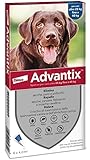 Advantix Spot-on antiparassitario per Cani da 25 kg a 40 Kg, 6 pipette da 4 ml. Elimina zecche, pulci, pidocchi e larve di pulce in casa. Protegge da zanzare, pappataci e rischio di leishmaniosi.