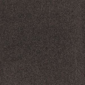  X}CtB[XNGA2400 10Zbg FF2404