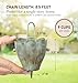 Good Directions 491V1-8 Crocus Rain Chain 8-1/2 Feet Long, Large Cups, 100% Blue Verde Pure Copper