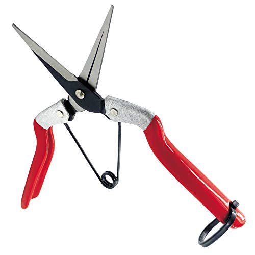 Mifuse Long Straight Micro Tip Pruning Snip with Sap Groove Blade, Small Garden Shears Hand Pruners Perfect for Trimming Plants, Hydroponic Herbs, Picking Flowers and Havesting Fruits or Vegetables.