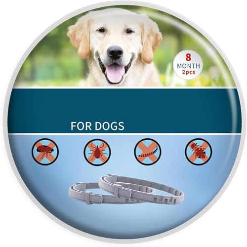 2 Collar contra Pulgas y Garrapatas Perros 8KG 63CM Control Dog Collar Antipulgas 8 Meses de Protección Collares antiparasitarios para Perros de más de 18lbs, Collar Antipulgas para Perros