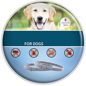 2 halsbanden voor honden en katten, 8 maanden, beschermende halsbanden van meer dan 8 kg, 63 cm