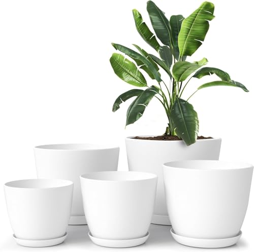 AIDALEE Plant Pots Indoor with Drainage - 7/6.6/6/5.3/4.8 Inches Flower Pots for Indoor Planter - Cute Flower Pot Set of 5 - Ideal for Gardening Home Desktop Office or Christmas Decorations - White