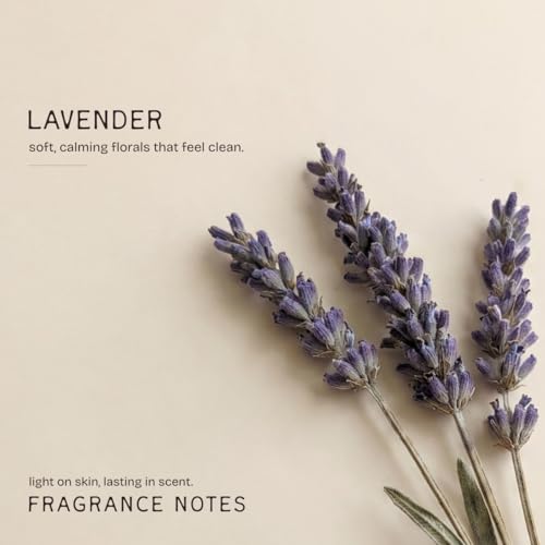 Image of The Bare Bar Kashmiri Lavender Natural Deodorant Stick 28g | Up to 24-Hour Odour Control | Long-Lasting Freshness | Aluminium-Free, Baking Soda-Free | No White Marks, No Staining | For Men & Women