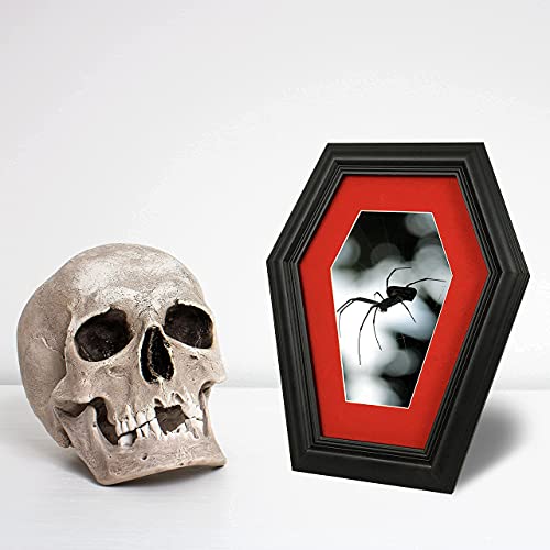 Dravira Coffin Picture Frame - Creepy Gothic Home Decor - Black 4X6 For Wall Or Tabletop - Hd Plexiglass Front - Now With Devil Lady Photo Included! #TOP6