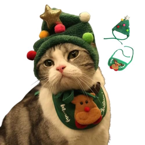 Yucahype NX}X ybg RX`[ RXv  Lp }t[ Xq  ߑ ybg ^ ^ ^ NX}X ʐ^Be (S O[)