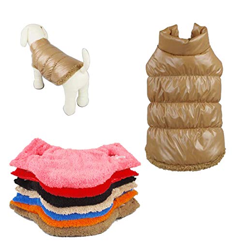 Rantow Otoño Invierno Mascota Gato del Perro: Ropa Abrigo cálido, Chaqueta con Capucha de 7 Colores para Mascotas clásica de Teddy, Yorkshire Terrier, Chihuahua, Pomerania