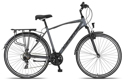 Licorne Bike 28 Zoll Premium Trekking Fahrrad Jungen Mädchen Damen Herren 21 Gang Schaltung Herrenfahrrad Kinderfahrrad Life M-V grau/schwarz