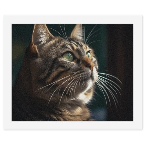 Peinture par numéros pour adultes chat décoration intérieur salon
