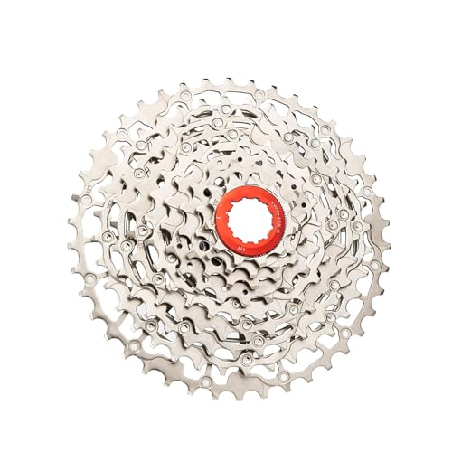 3. x}EeoCNtCzC[ 7 Xs[hXbhJZbggCCfBOⒷcA[pڌoCNt[zC[