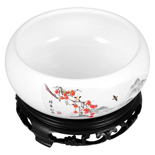 Veemoon Ceramic Hydroponic Flower Pot with Plastic Base for 