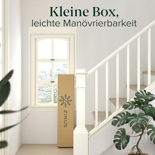 Zinus Caleb Bett 90x200 cm - Höhe 36 cm mit Stauraum unter dem Bett - Metall-Plattformbettrahmen - Klappbarer Bettrahmen - Schwarz