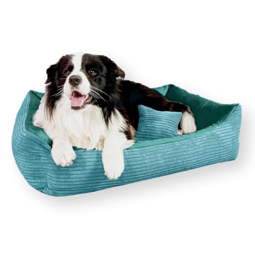 4L Textil Molly Kuscheliges Cord Hundebett mittelgroße Hunde Hundekorb aus Cord Hundekörbchen mittelgroße Hunde Hundesofa Türkis (80x60 cm, Türkis)