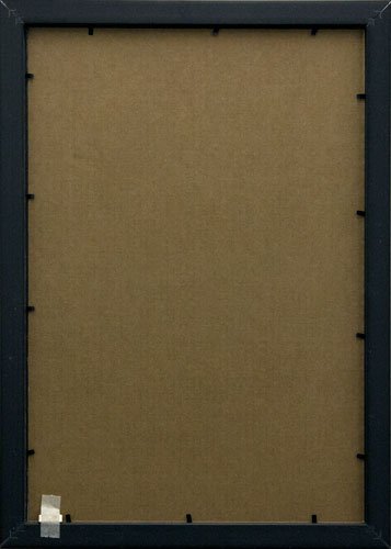 Frame USA Budget Saver Series 13x19 Polystyrene Poster Frames (Black)