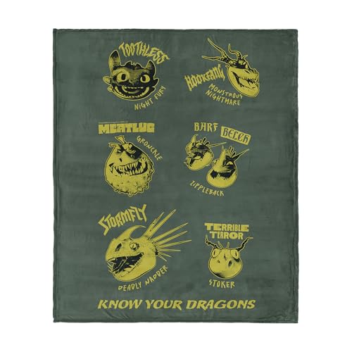 Northwest How to Train Your Dragon Know Your Dragons Silk Touch Throw Blanket 60x80 inches