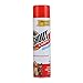 Shout Carpet Aerosol Stain and Odor Foaming Spray with OXY Power | Completely Removes Tough Urine Stains & Prevents Remarking | for Large Areas, Pack of 2, 2 Count