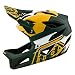 Troy Lee Designs Stage Full Face Mountain Bike Adult Helmet with MIPS and TLD Shield Logo