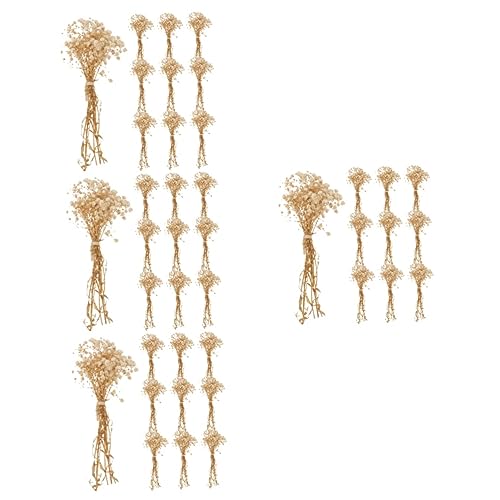 Paquete de 40 ramos de flores secas naturales