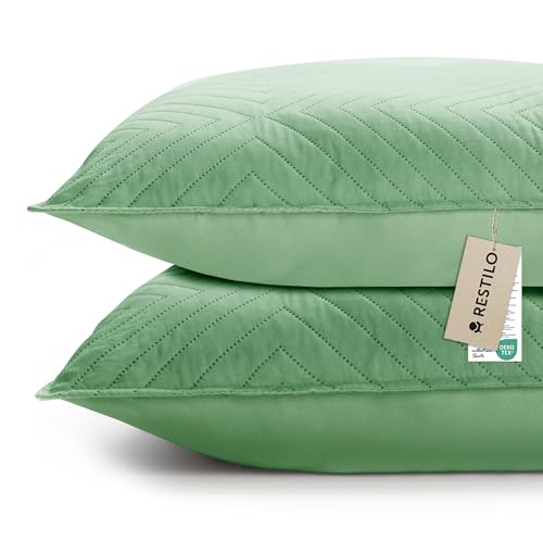 RESTILO Juego de 2 fundas de cojín de 50 x 70 cm, verde claro, verde, cojín decorativo para sofá, cojín decorativo, acolchado ultrasónico, suave, ideal para salón, dormitorio, sofá