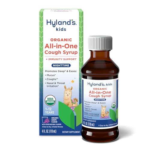 Image of Hyland's Kids Organic All in One Cough Syrup Nighttime - Grape