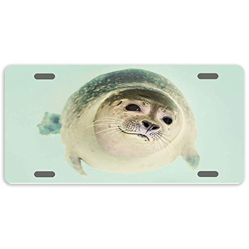 Coque carrée iPhone anti-choc en silicone liquide anti-poussière
