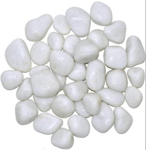 White Stone Decorative for Home Garden and Landscriping (Pack of 3 KG.) (LIVE GREEN)-image-23