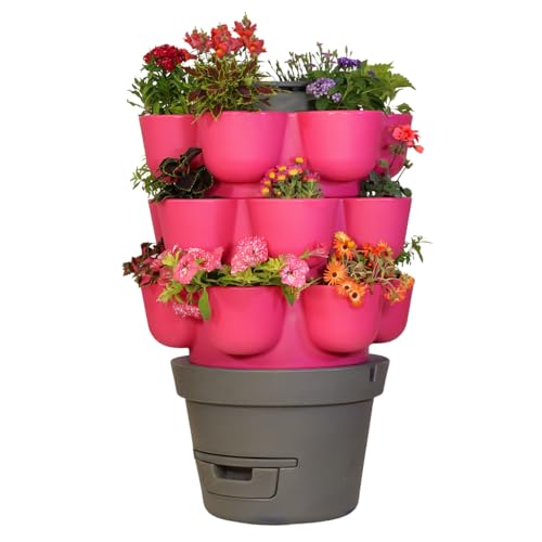 Moutta | WORMgarden Fuchsia 3 jardinières | Jardin Potager Vertical avec lombricomposteur intégré | Cultivez Vos Fruits et légumes | Créez Votre Potager et recyclez Vos déchets | Keyhole Garden