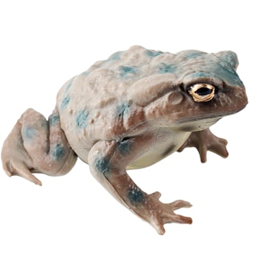 Figura de juguete Bullfrog - Modelo de sapo de PVC para niños | Modelo de animal realista juguete educativo de rana divertida herramienta de aprendizaje para habitación infantil, aula o decoración de