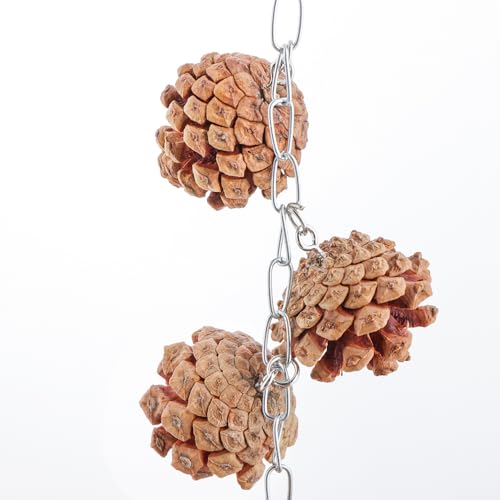 Image of VTurboWay Natural Coconut Shell Bird Nest with Coconut Fiber Mat Breeding Nesting Anti-Pecking Bite for Small Bird Parrot Cockatiel Conure Lovebird Canary Finch