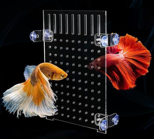 siawadeky アクリル 水槽仕切りセパレータ 20*30cm ゴム吸盤付き 透明 熱帯魚 稚魚 爬虫類 分割 飼育 隔離 鑑賞 魚の混合養殖用 アクセサリー