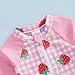 Infant Baby Girl Swimsuit Strawberry Plaid Zipper Swimwear Long Sleeve Rash Guard Bathing Suit with Hat 2 Piece (Pink, 3-6 Months)