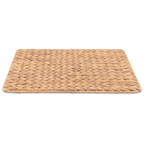 Decorasian - Set di 12 tovagliette in giacinto