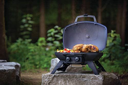 Image of Napoleon TravelQ 285 Portable Propane Gas Grill, Blue, 2 Burners, Tailgating, Camping, and Small Outdoor Spaces