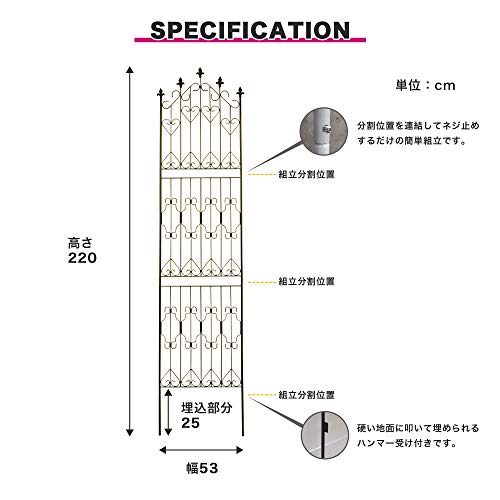 ガーデンガーデン アイアンフェンス Nouveau(ヌーヴォー) ハイタイプ 高さ220cm×幅53cm 2枚セット ブラック トレリス ハイフェンス DNF220CP2P-BLK 3枚目