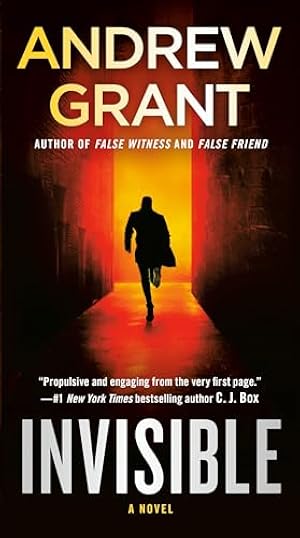 Book cover Invisible: A Novel (Paul McGrath)