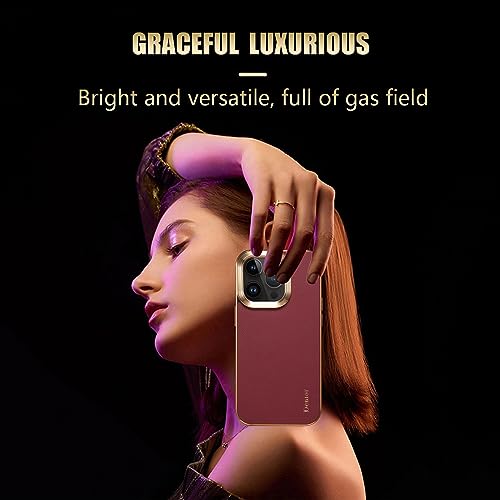 Coque iPhone 15 Pro design classique cuir pour le bureau et voyage