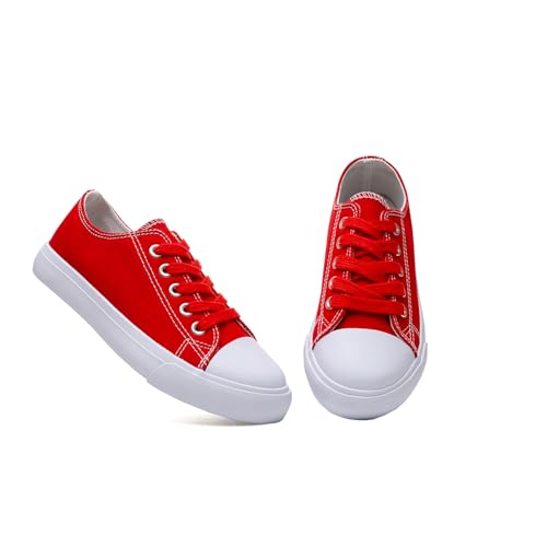 Classic Unisex Low-Top Canvas Sneakers – Boys Girls and Toddler Casual Lace-Up Shoes with Rubber Sole, Includes Extra White Shoelaces2