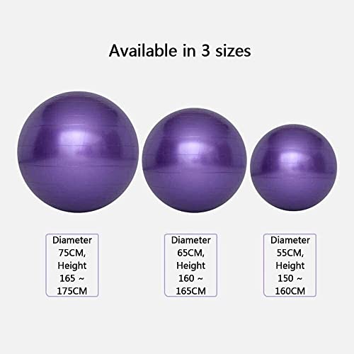 Gym Yoga Ball ELzEy anti-explosión con bomba de aire para fitness total 3