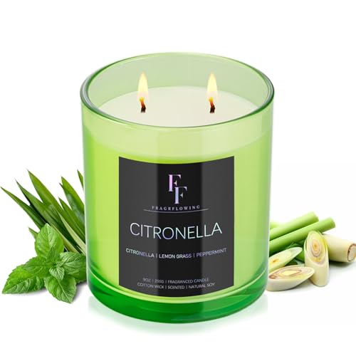 Citronella Candles Outdoor, 2-Wick Outdoor Indoor Scented Candle, Jar Candles for Home Scented, Long Lasting Natural Soy Candle, Summer Scents of Citronella/Lemon Grass/Peppermint, 9 oz