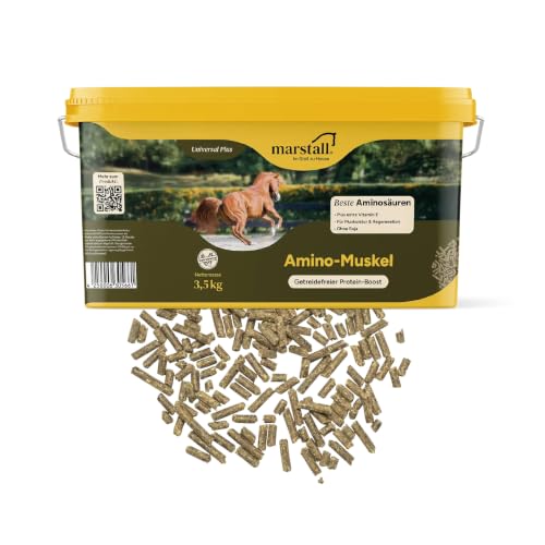 marstall Premium-Pferdefutter Amino-Muskel Plus, 1er Pack (1 x 3.5 kilograms)