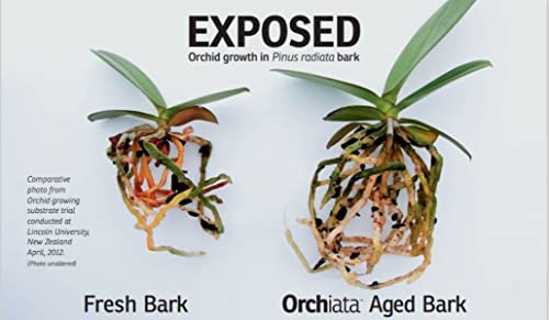 Orchid Bark | 100% Pure New Zealand Pinus Radiata | Classic ' to ' Organic Potting Bark for Aeration and Longevity