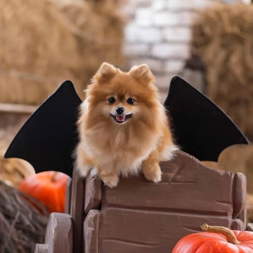 Disfraz Alas de Murciélago para Perro Grande miniatura 4