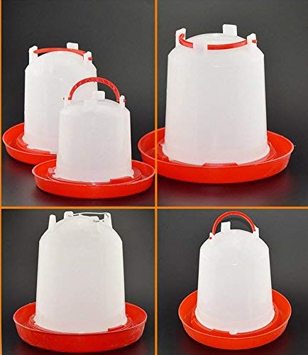 Fontaine poulet 5L pour garantir de l'eau propre aux poussins et pigeons