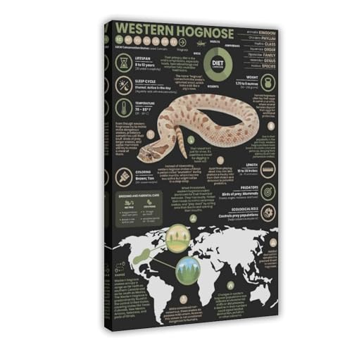 Poster cochon occidental infographie idée cadeau originale 40x61