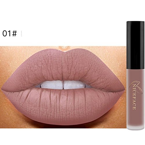 ANBOO New Matte Lip Lip Gloss Waterproof Makeup Liquid Lipstick (A)