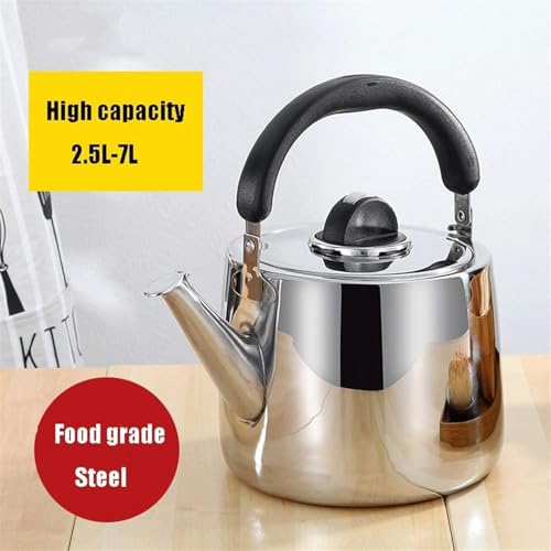 Théières pour cuisinière de qualité supérieure en acier inoxydable durable